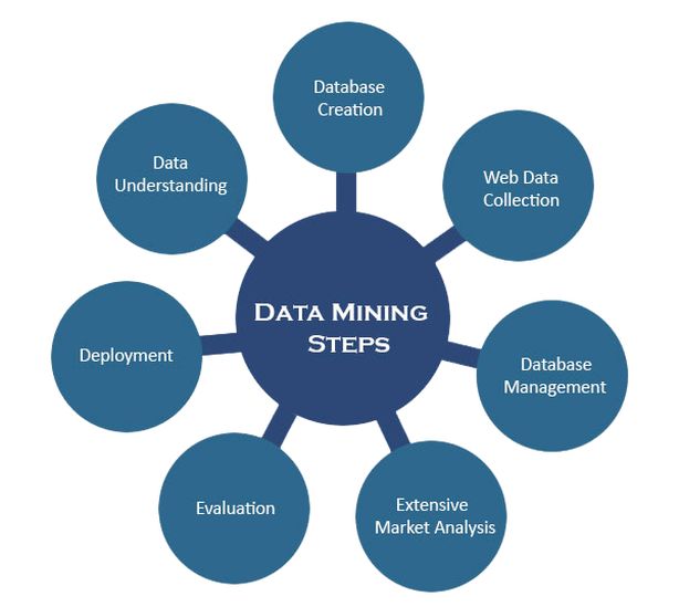 Data Mining Services